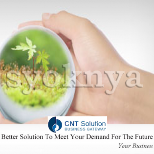 Buy  Web Programmer / PHP Programmer - CNT Solution Sdn Bhd...